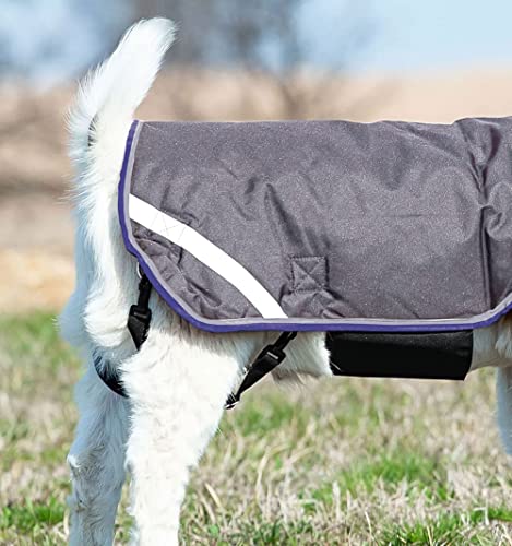 Image of Horseware Goat Rug - Excalibur /Silver & Strong Blue & Black, Triple Extra Large