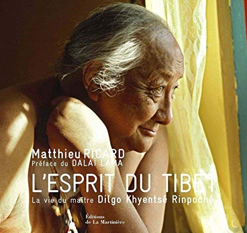Télécharger L'Esprit du Tibet : La vie du maître Dilgo Khyentsé Rinpoché by Matthieu Ricard(2009-09-10) Livre eBook France