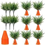 Solsew 12 Set Easter Yard Carrots Decorations Sign Garden Stake Outdoor Fake Carrots Patch DIY Ferns Artificial Plants Decor Plastic Easter Yard Stake for Spring Lawn Outside(Roller Skate Stakes)
