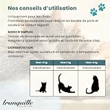 Tranquille Crunch' Expert Anti Cat Hair Ball (zestaw 40 x 60 g) | Słodowe smakołyki i włókna roślinne | Krokiet dla kota | Profilaktyczna przekąska Wellness | z kurczakiem i bez cukru