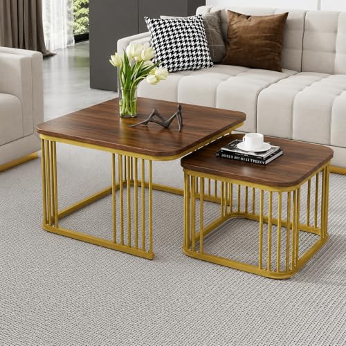 Image of Square Nesting Table Set of 2 - Marble MDF Top Coffee & Side Tables with Iron Frame for Living Room, Bedroom & Home Decor (Gold & Brown, L-51x48 cm, S-41x41 cm)
