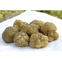 EXTREMELY FRESH WHITE TRUFFLES 3 OZ, SPECIAL SHIPPING TO THE USA DIRECTLY FROM THE FOREST OF ALBA ITALY, NONSTOPS & NO INVOLVEMENT OF THIRD PARTIES, UP TO 80% MORE OF LIFETIME TO YOUR TRUFFLES
