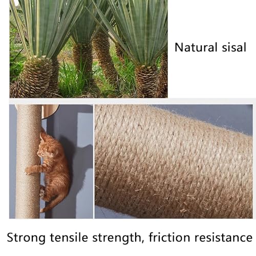 Étagère murale pour chat avec maison et passerelle de repos