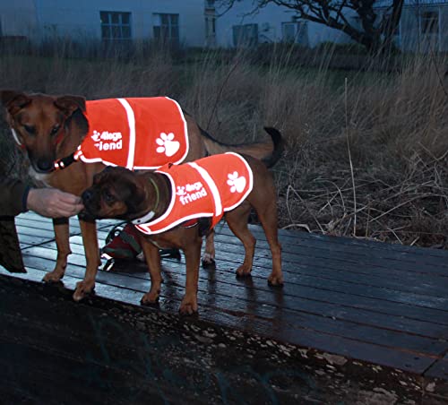 4Legsfriend Dog Safety Orange Reflective Vest With Leash Hole 5 Sizes - High Visibility For Outdoor Activity Day And Night, Keep Your Dog Visible, Safe From Cars & Hunting Accidents #TOP6