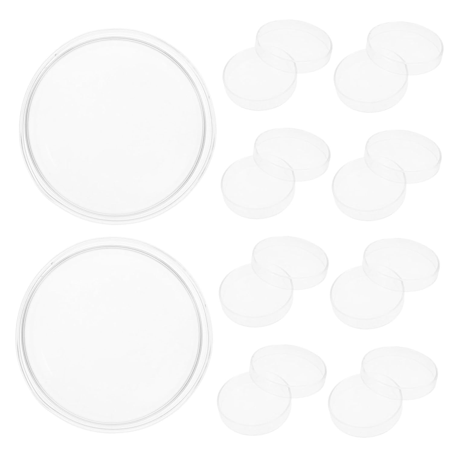 Healifty 10pcs Laboratory Petri Dishes Glass Culture Plates Lid Cell Culture Dishes for Science Projects Microbiology Tools Heat and Scratch Resistant