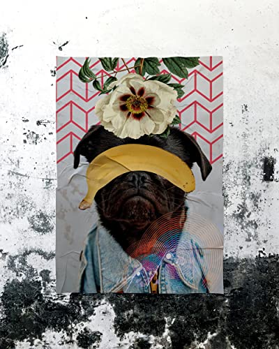 Kit de Lambe Lambe Colagem 5m² - Melhor Alternativa ao Papel de Parede