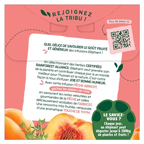 Infusion Mangue Passion Curcuma Elephant La Boite De 20 Sachets - vue 4