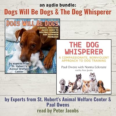 An Audio Bundle