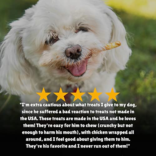 Lucky Premium Treats Chicken Wrapped Rawhide – All-Natural Rawhide And Chicken Dog Treats, Gluten Free Premium Small Dog Treats (80 Chews) #TOP4