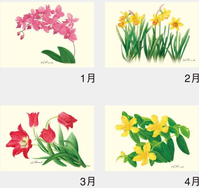 Amazon | カレンダー 2025年 花 壁掛け ボタニカルアート 内城