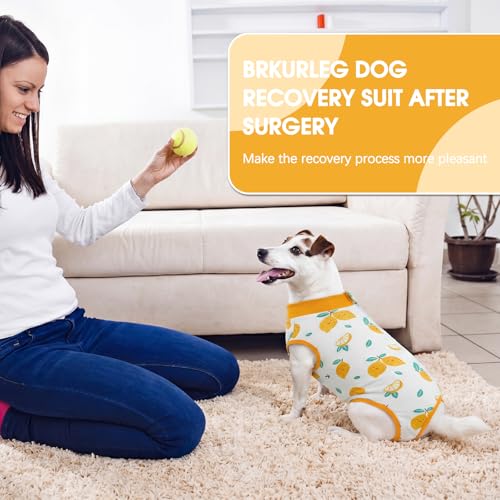 Image of BRKURLEG Small Dog Recovery Suit After Surgery Female Male, Back Zipper Spay Recovery Suit for Dogs & Cats, Anti-Licking Puppy Surgical Onesie for Abdominal Wound, Cone Alternative, Yellow L