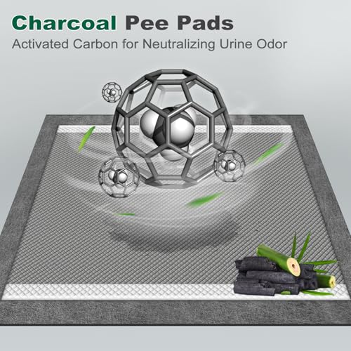 Image of MIZOK Pee Pads for Dogs Charcoal Disposable No Leak Large 28x30in 30Ct | Heavy Duty Carbon Layers, Powerful Odor Eliminator, Extra Thick Dog Pads, Protects Floors from Daily Messes
