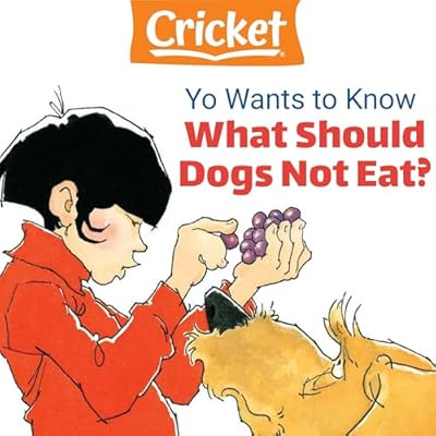 Yo Wants to Know