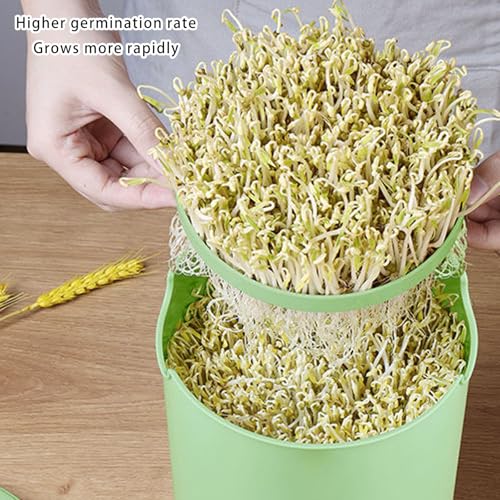 Machine de germination pour pousses fraîches avec cycle de rinçage automatique