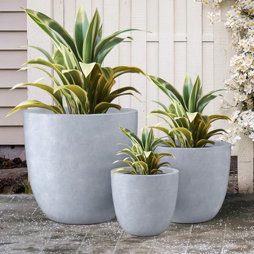Image of Kante Set of 3 Blue Gray Concrete Bowl Round Planters for Modern Home