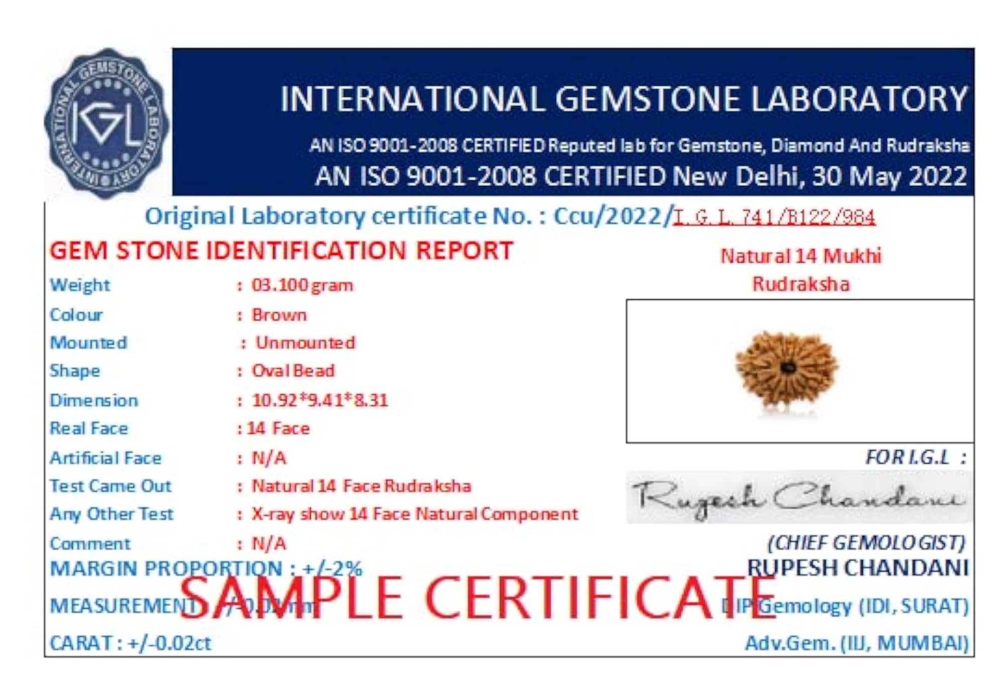 Original 14 Mukhi Indonesian Rudraksha