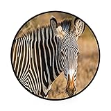 Optisches Design: Unser rundes Teppich-Design ist interessant und lebendig, lässt sich nahtlos in jedes vorhandene Dekor integrieren und bringt Schönheit und Komfort in Ihr Zuhause