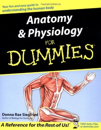 Image of By Donna Rae Siegfried - Anatomy and Physiology for Dummies