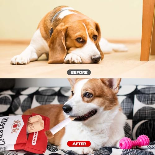 MOKIDO Hundespielzeug Zigarette, Zigarette Quietschend, Interaktives Dog Cigarette Toy, Hunde Zigaretten mit Einer Box, lustiges Kichern, Plüsch-Hundespielzeug für kleine, mittelgroße und große Hunde