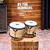 Luis Conte Artist Series Bongos with Remo Heads, 6.75 / 8