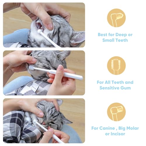 MISSELF Escova de dentes para gatos com cerdas ultramacias, 3 estilos de escovas de dentes para anim