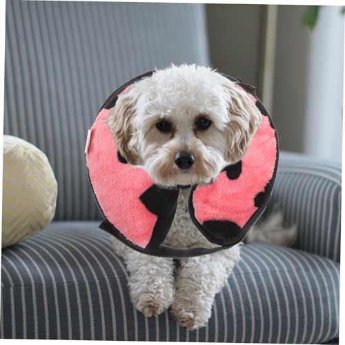 Collier gonflable chat pour une convalescence sereine à la maison - 5