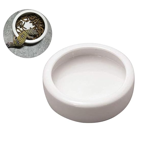 Foto 5 de 8 de VILLCASE Cuenco De Comida Antiescape para Reptiles 3.74 Pulgadas Plato Redondo Cerámico Alimentador Multiusos…
