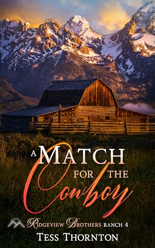 A Match for the Cowboy: Ridgeview Brothers Ranch Book 4