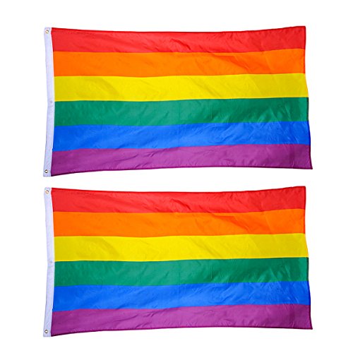 Toyvian 2 peças bandeira de arco-íris bandeira LGBT grande com bandeira de orgulho com ilhoses de latão 90 * 150 cm