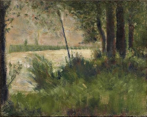 Georges Seurat Grassy Riverbank affiche murale pour habiller vos grands murs