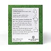 Good Nature Organic Nettle Tea, 1.058 Ounce