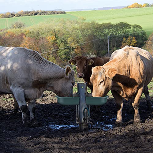 Ejoyous 4L Abbeveratoio Automatico per scorte, abbeveratoio per Bestiame con valvola a Galleggiante Verde per Cavallo per Maiale