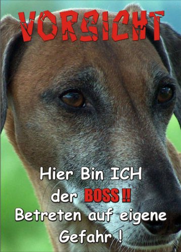 Fun – Cartel Para Puerta (se66 Advertencia Perro Akita Inu