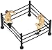 A Birthday Place Wrestlers and Wrestling Ring Cake Kit, Multicolor