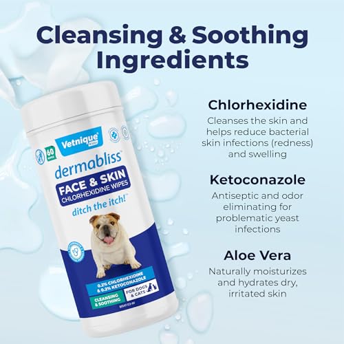Vetnique Dermabliss Dog Face Wipes - Medicated Chlorhexidine Wipes for Dogs with Wrinkles, French Bulldog, English Bulldog Dog Grooming Wipes Cleaning & Deodorizing Dog Wipes 60ct