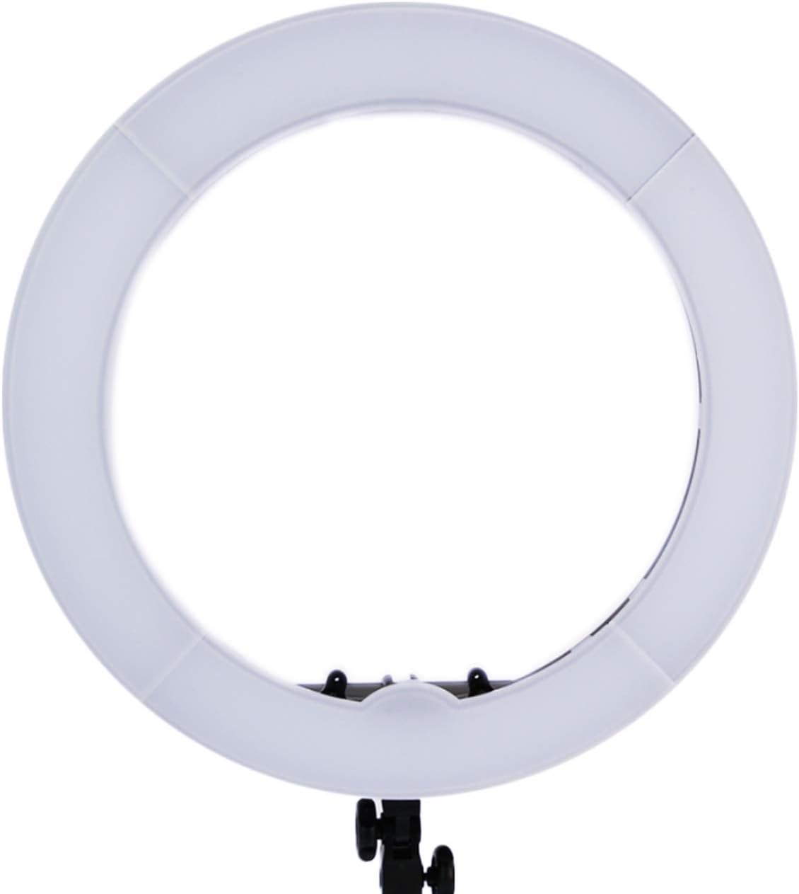 Prismatic 18" LED Halo Bi-Color Ring Light Dimmable 55W 5500K, Ballhead Mount for Camera, Carry Case, Diffusion Plates