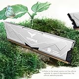 DIMM 32 GB DDR5-6000 (2x 16 GB) Dual-Kit (grau, FLESD532G6000HC38ADC01, VULCAN ECO, INTEL XMP, AMD EXPO) - Image 4