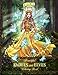 Beautiful Fairies and Elves: Coloring Book For Experienced User (Stress Relief)
