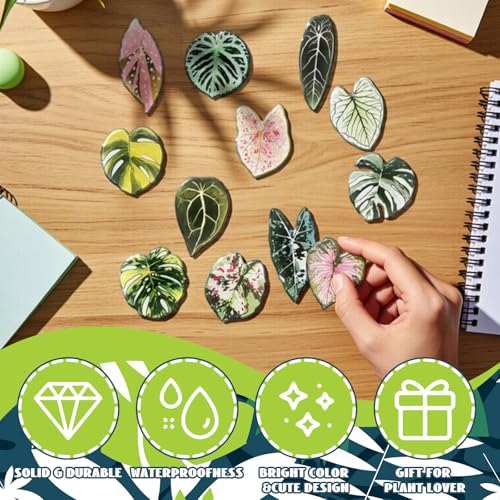 Imanes decorativos hoja Sabary pack 30 unidades miniatura 3