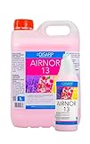 AIRNOR 13 Ambientador persistente floral intenso de acción prolongada fragancia floral.