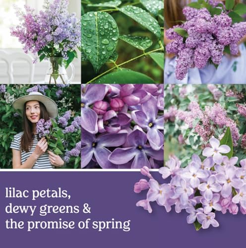 Image of Yankee Candle Mini Jar Scented, Lilac Blossoms, Premium Floral Home Fragrance Wax Blend Long Lasting Aroma for Daily Relaxation, 1.3 Ounce (Pack of 4)