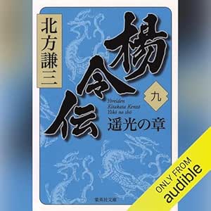  楊令伝　九　遥光の章 