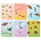 Two Pocket Folders Bulk – 12-Pack Letter Size File Folders, 6 Insect Designs, School Folders with Pockets, 12 x 9.25 Inches