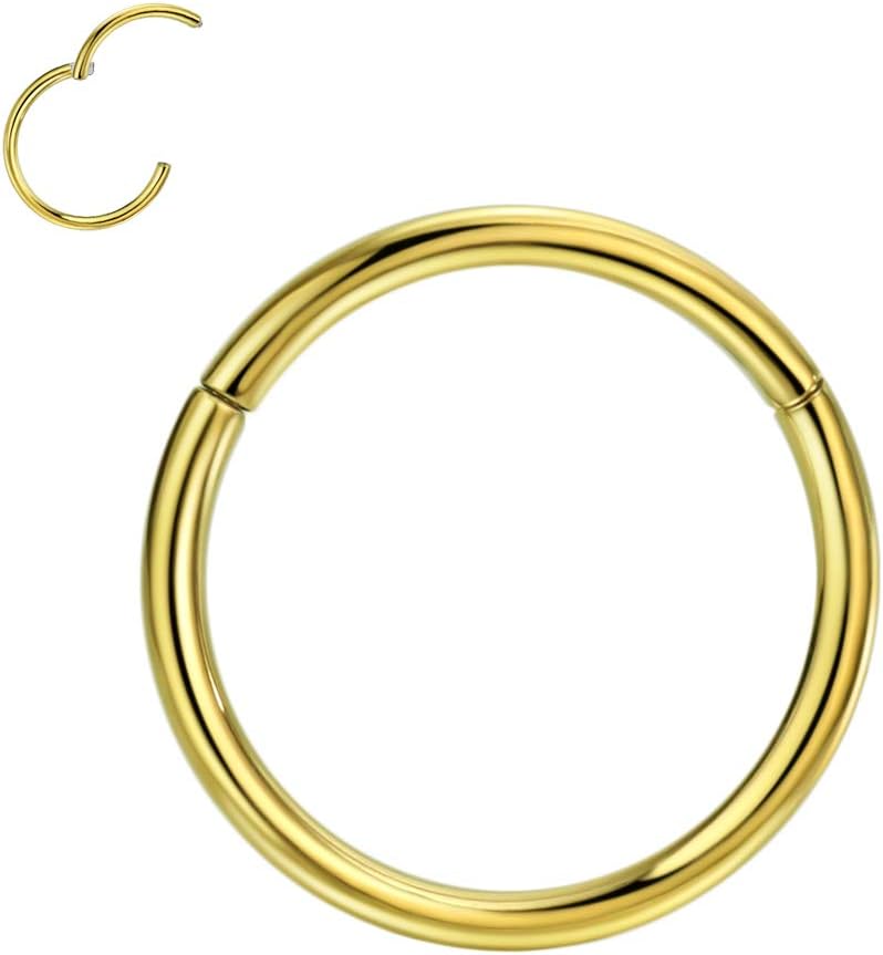 FANSINGG23 Titanium Hinged Piercing Rings Hoop