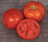 Mountain Man Tomato Seeds