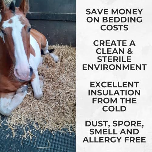 Horse Stable Floor Mats - Heavy Duty Rubber - 12mm Thick - 6ft x 4ft - Non Slip Bubbletop Matting - Grooved Underside For Drainage - Image 3