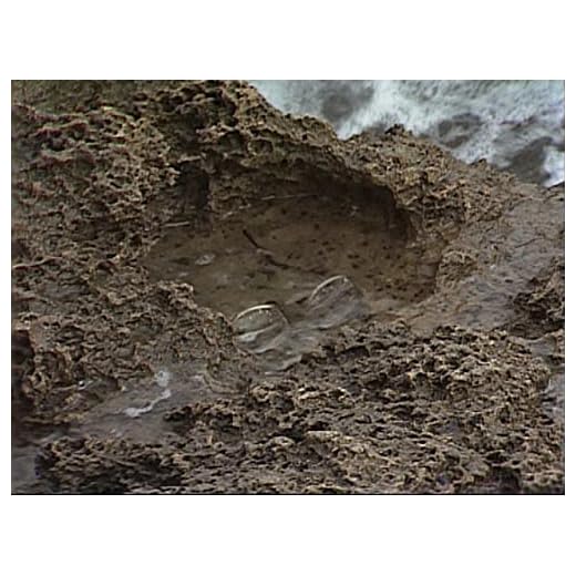 1520 - Harold Swept Out to Sea