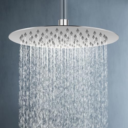 ACA International High Pressure 10'' Large Shower Head Round Overhead 304 Stainless Steel Adjustable Ultra-Thin Rainfall Shower Head 250x250mm WELS (Chrome)