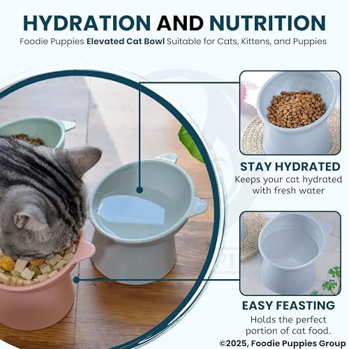 Image of Foodie Puppies Elevated Cat Bowl Feeder Food Water Feeder Bowl for Cats, Kittens & Puppies | Persian Cat Food Bowl Tilted Raised Bowl Anti Vomiting 15 Slanted Bowl (Color May Vary)