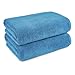 Amazon Basics 2 Piece Quick-Dry Oversize Bath Towel, 100% Cotton, Lake Blue, 54